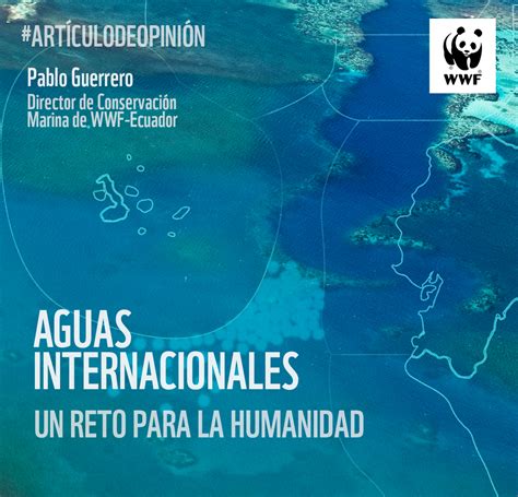 Aguas Internacionales Un Reto Para La Humanidad WWF