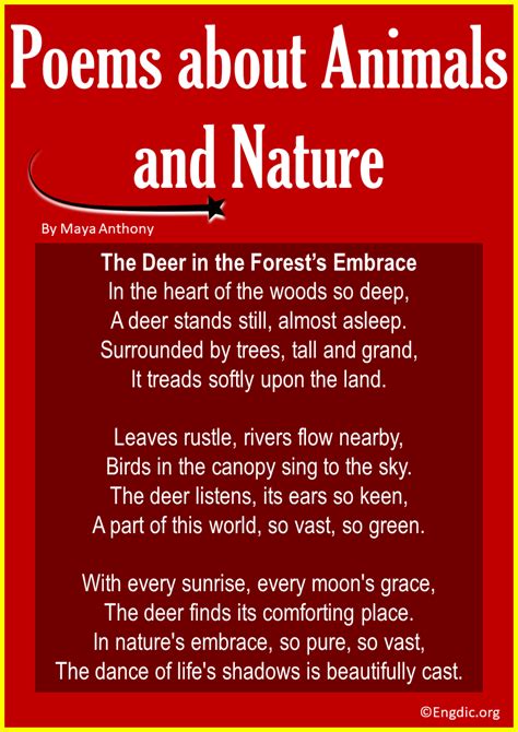 15 Best Short and Funny Poems about Animals - EngDic