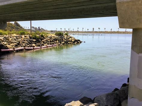 Hubbs Trail Tour At Agua Hedionda Lagoon San Diego Beach Secrets