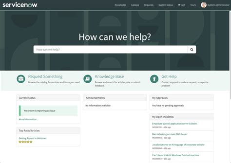 Servicenow Developers