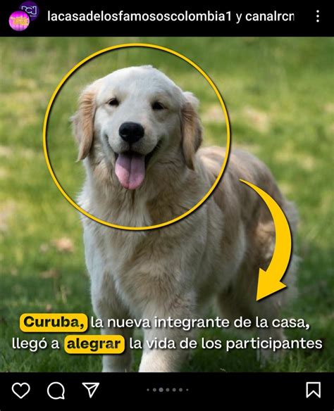 Televidentes no aguantaron la emoción con la llegada de Curuba a ‘La