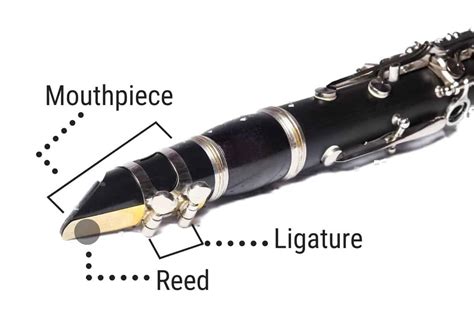 Whats The Difference Between The Clarinet And The Flute An In Depth