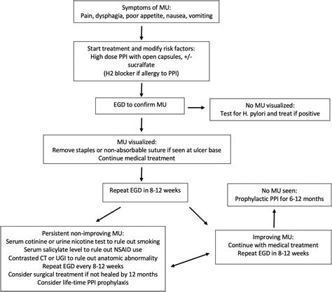 Asmbs Literature Review On The Treatment Of Marginal Ulcers After