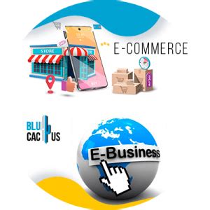 Blucactus Diferencias Entre E Commerce Y E Business BluCactus Mexico