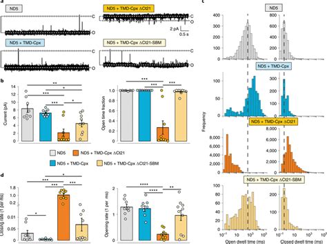 Deletion Of The C Terminal Amphipathic Helix Converts Cpx To An Download Scientific Diagram