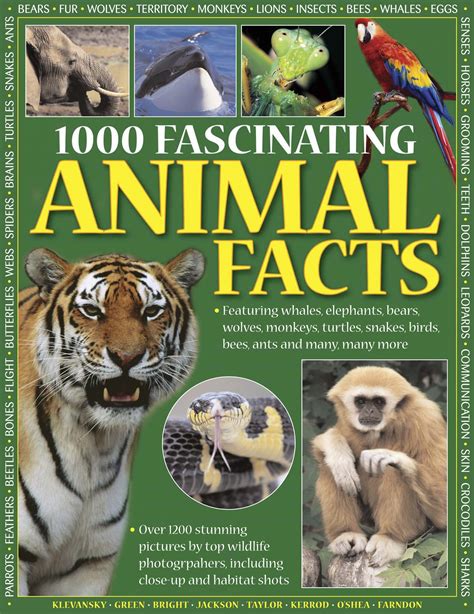 1000 Fascinating Animal Facts (covers marked from shop display) - Driftwood Books