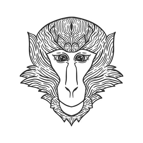 monkey head line art illustration 17574326 Vector Art at Vecteezy