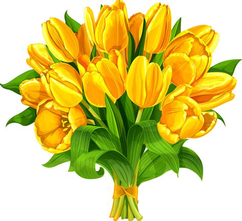 Free Tulip Bouquet Cliparts Download Free Tulip Bouquet Cliparts Png