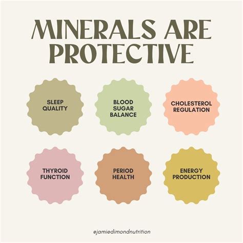 The Trace Minerals Benefits You Need To Know Dr Pingel Artofit