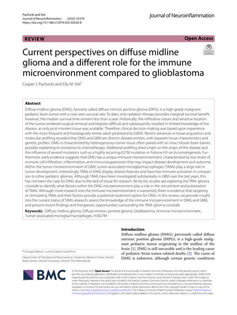 Pdf Current Perspectives On Diffuse Midline Glioma And A Different