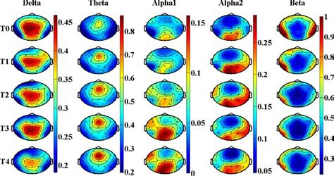 Brain Topography Of The Relative Power Of EEG Rhythms In Task State In