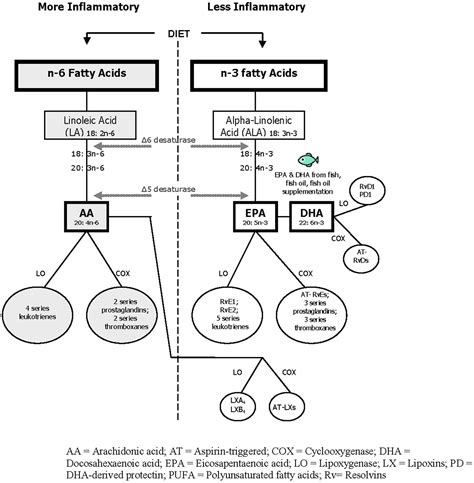 Beneficial N Polyunsaturated Fatty Acid Levels And N N Ratios After