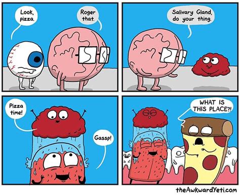 The Awkward Yeti Nick Seluk Theawkwardyeti Instagram Photos And