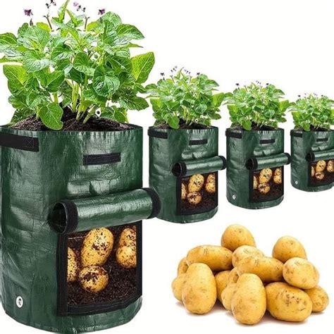 Sacs De Culture Pour Pommes De Terre Carottes Tomates Concombres Et