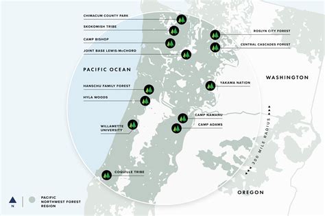 Breaking Down the Wood Supply Chain for PDX Airport — Sustainable Northwest