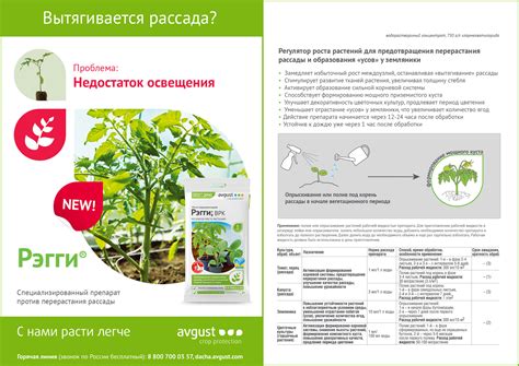 Рэгги® – купить препарат Рэгги® оптом по цене производителя «АВГУСТ»