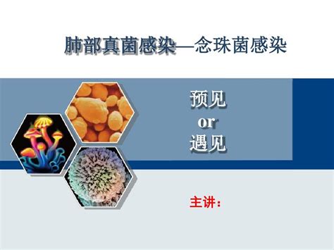 肺部真菌念珠菌感染课件word文档免费下载亿佰文档网