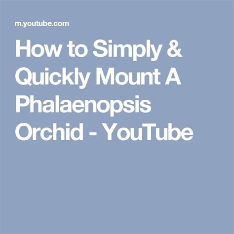 How To Simply Quickly Mount A Phalaenopsis Orchid YouTube Orchids