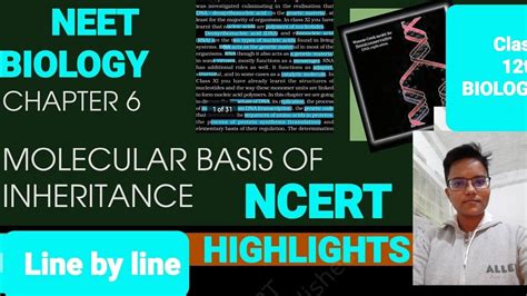 Human Genome Projectdna Fingerprintingmolecular Basis Of Inheritanceclass12th Biology Ncert