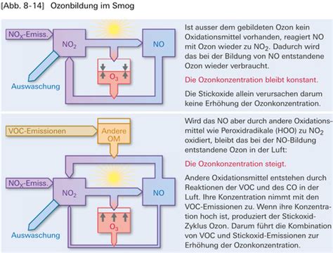 Biologie Evolution Ver Nderungen Von Kosystemen Und Bioz Nosen