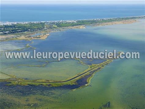 Photos A Riennes De La Grande Motte H Rault Languedoc