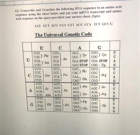 Solved Transcribe And Translate The Following Dna Chegg