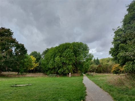 Shady Lane Arboretum Tim Heaton Cc By Sa Geograph Britain And