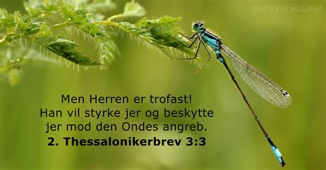 Dagens Bibelvers Emner Tilf Ldigt Vers Dailyverses Net