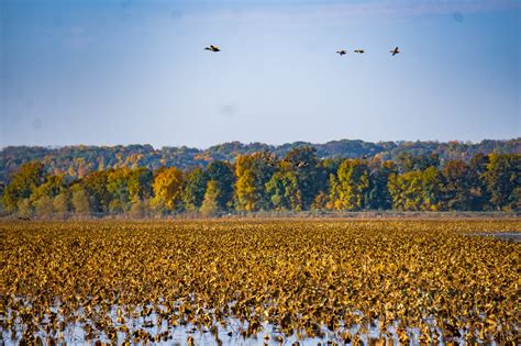 A Hidden Gem Along the Mississippi River