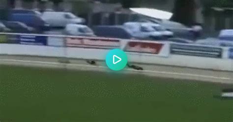 Dog Cheats To Win Greyhound Race  On Imgur