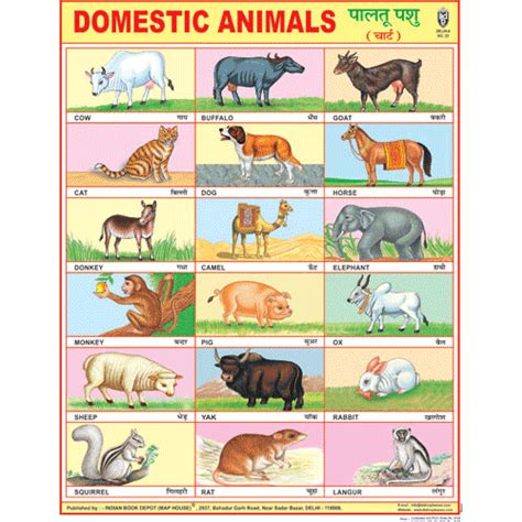 DOMESTIC ANIMALS CHART SIZE 45 X 57 CMS