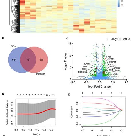 Identification Of Immune Related Genes With Prognostic Values A The Download Scientific