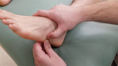 Bony Landmark Palpation Ankle Complex Talocalcaneal Subtalar