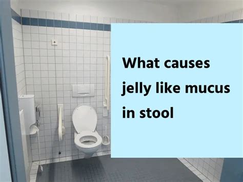 What Causes Jelly Like Mucus In The Stool Health Advisor