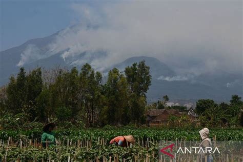 Kawasan Hutan Gunung Lawu Terbakar Antara News