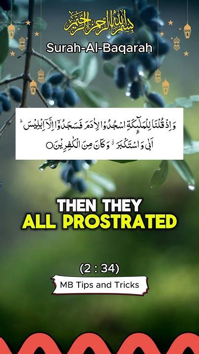 Surah Al Baqarah Ayat 34 English Quranrecitation Qurantilawat Qurantranslation Motivational