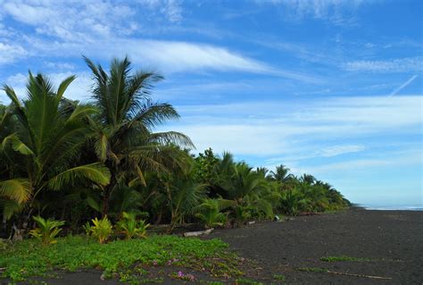 Freiwilligendienst in Costa Rica | TravelWorks
