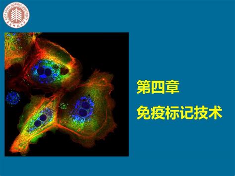 第九章 免疫标记技术word文档在线阅读与下载无忧文档