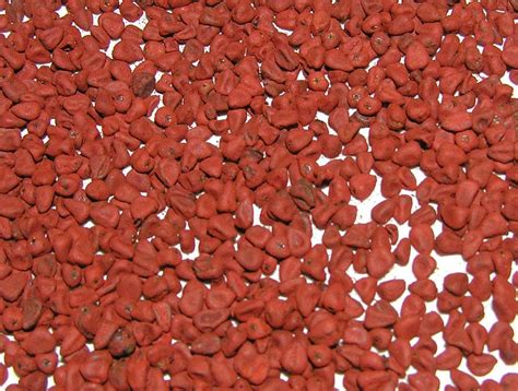 Annatto Seeds | Ryan Snyder | Flickr