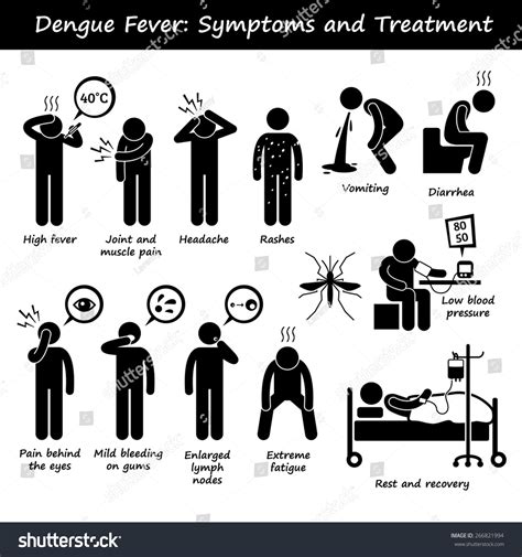 Dengue Sintomas e Tratamento Aedes Mosquito: vetor stock (livre de ...