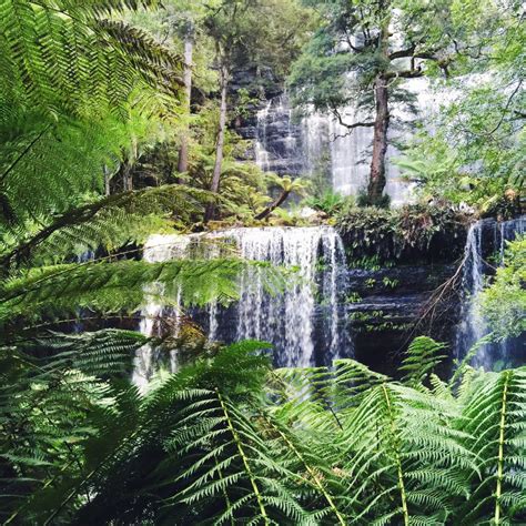 40 Ultimate Ways To Spend Summer In Tasmania Travel Textbook