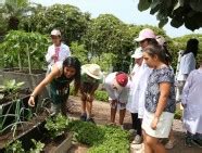 Niños mini científicos visitaron el Biohuerto Municipal de San Isidro