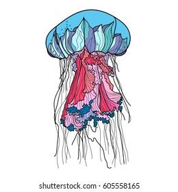 Jellyfish Vector Illustration Stock Vector (Royalty Free) 605558165 ...