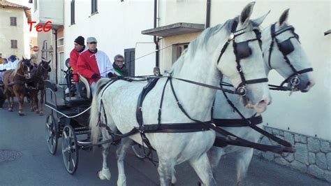 Arrivo Degli Attacchi Con Pariglie Di Cavalli Palio Comuni Youtube