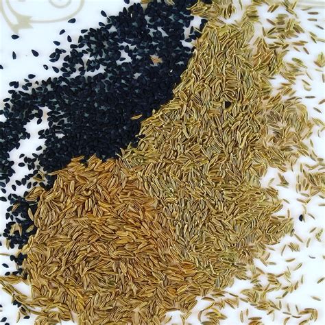 cumin seeds  caraway seeds  frederick kowalski blog