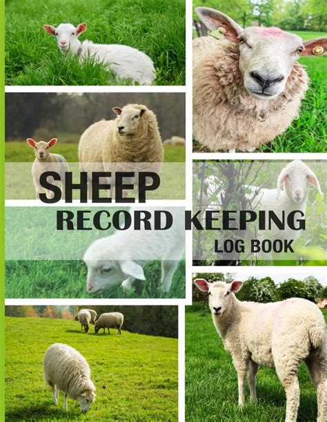 Sheep Record Keeping Log Book Farm Management Record Tracker For Sheep Lambing Breeding