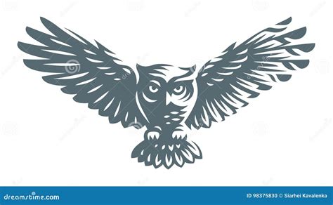 Owl Illustration Vector