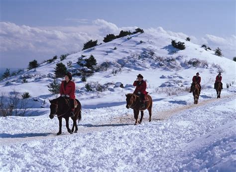 Here's Why Jeju Island Is The Perfect Holiday Destination To Experience Winter