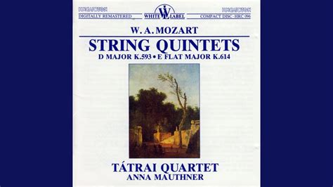 String Quintet No In E Flat Major K Ii Andante Youtube