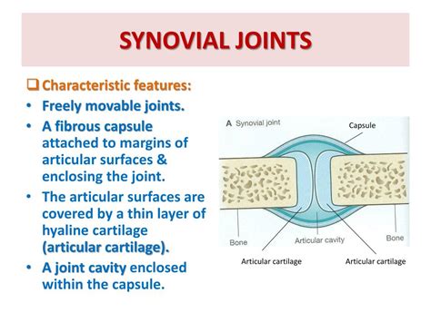 Ppt Joints Powerpoint Presentation Free Download Id 2436346